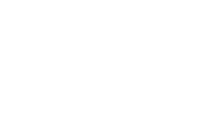 Li-Ning-logo