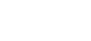Mini_logo